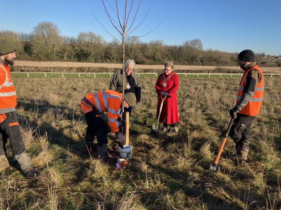 Community Orchard